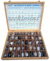 rocks and minerals supplier