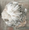 rocks and minerals supplier