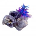 rocks and minerals supplier