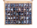 rocks and minerals supplier